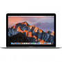 Ноутбук Apple MacBook 12 Core i5 1.3/8/512SSD Space Gray